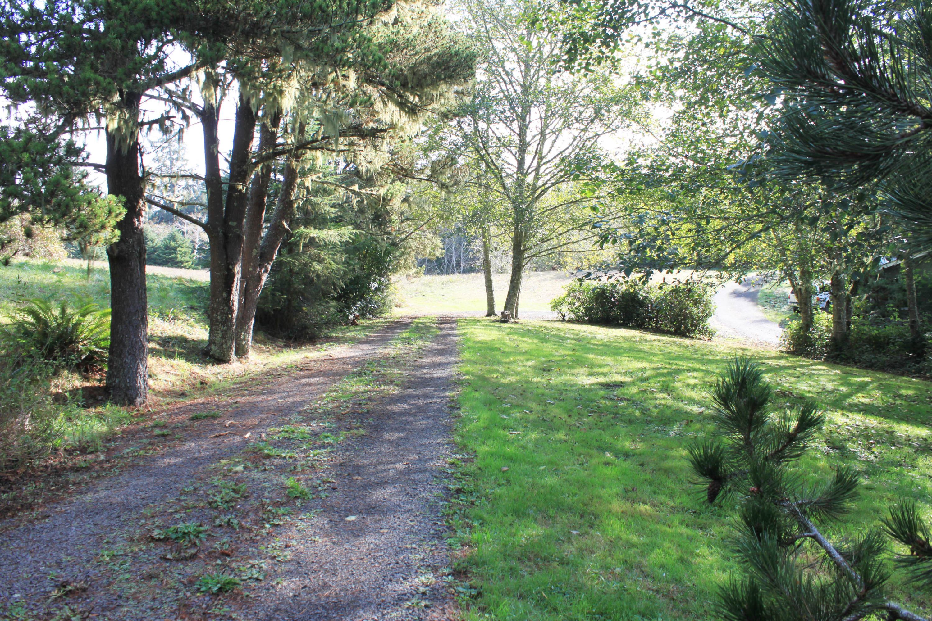3305 Netarts Bay Road Tillamook, OR 97141 - Photo 16 of 26 coming out the driveway from house