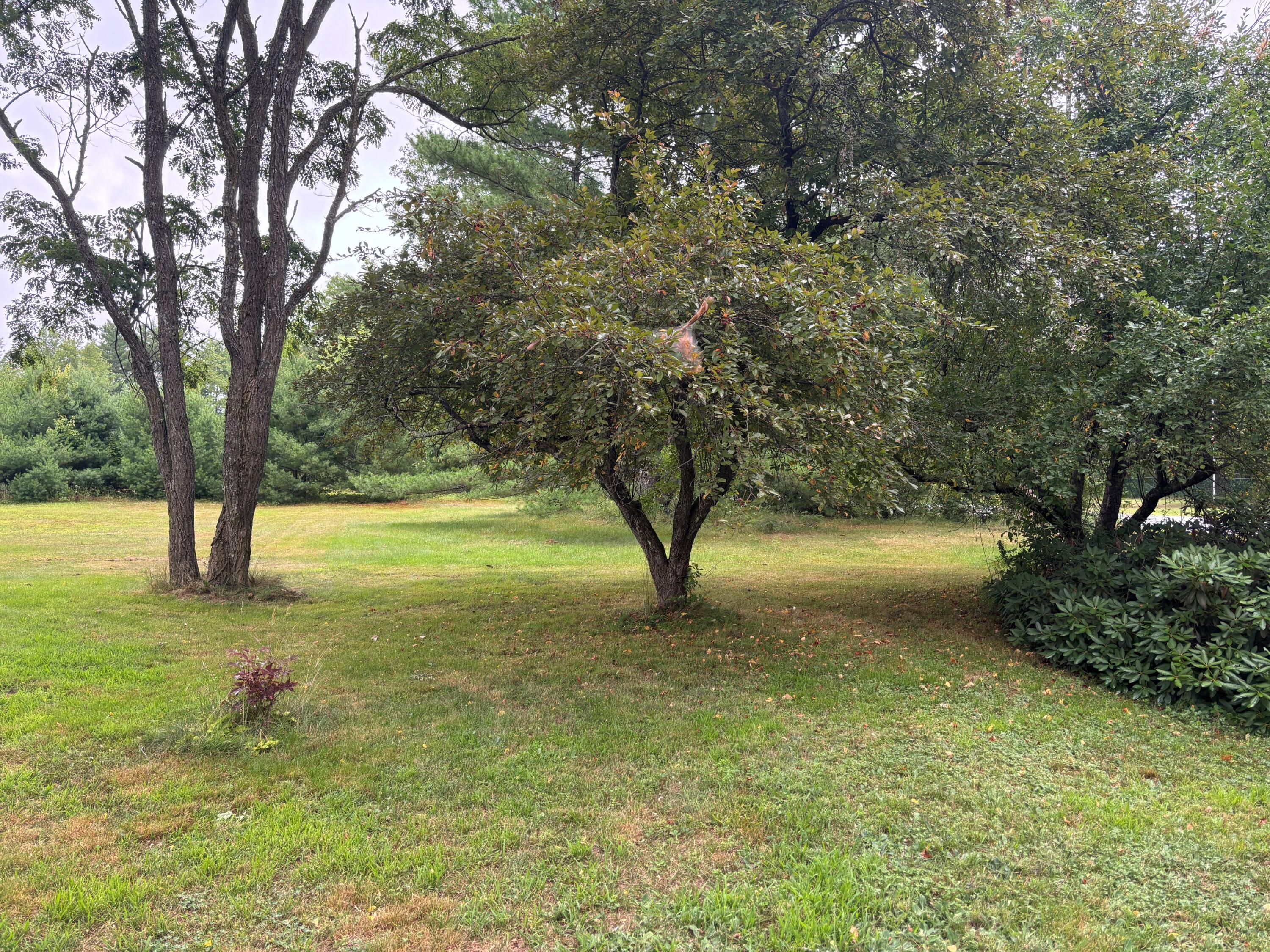 63 Boothby Road Limington, ME 04049 - Photo 5 of 36 20260729_194102440_iOS