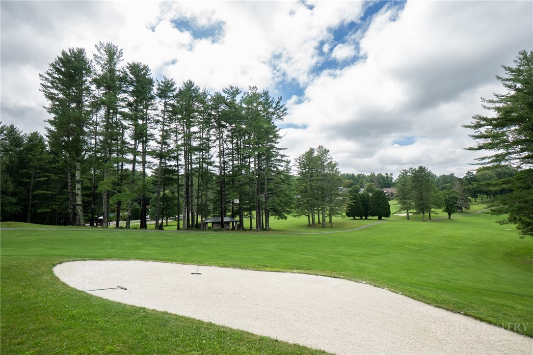 437 Windridge Road Newland, NC 28657 - Photo 43 of 49