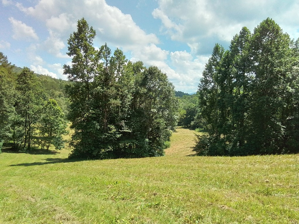 1378 N Morrow Road Murphy, NC 28906 - Photo 50 of 53 Gallery Image 50