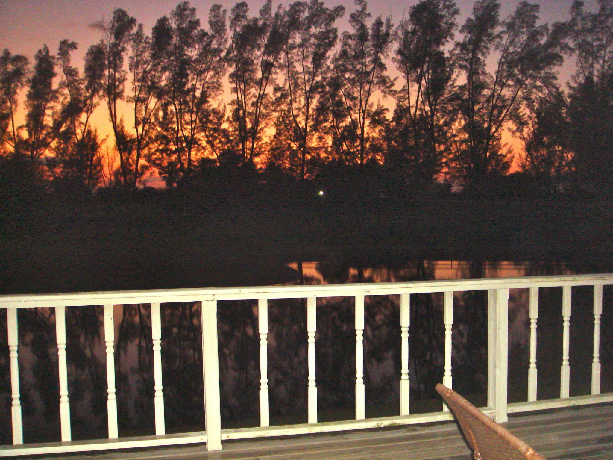 19655 118th Trail South, Unit FRNT Boca Raton, FL 33498 - Photo 15 of 31 a view of a backyard