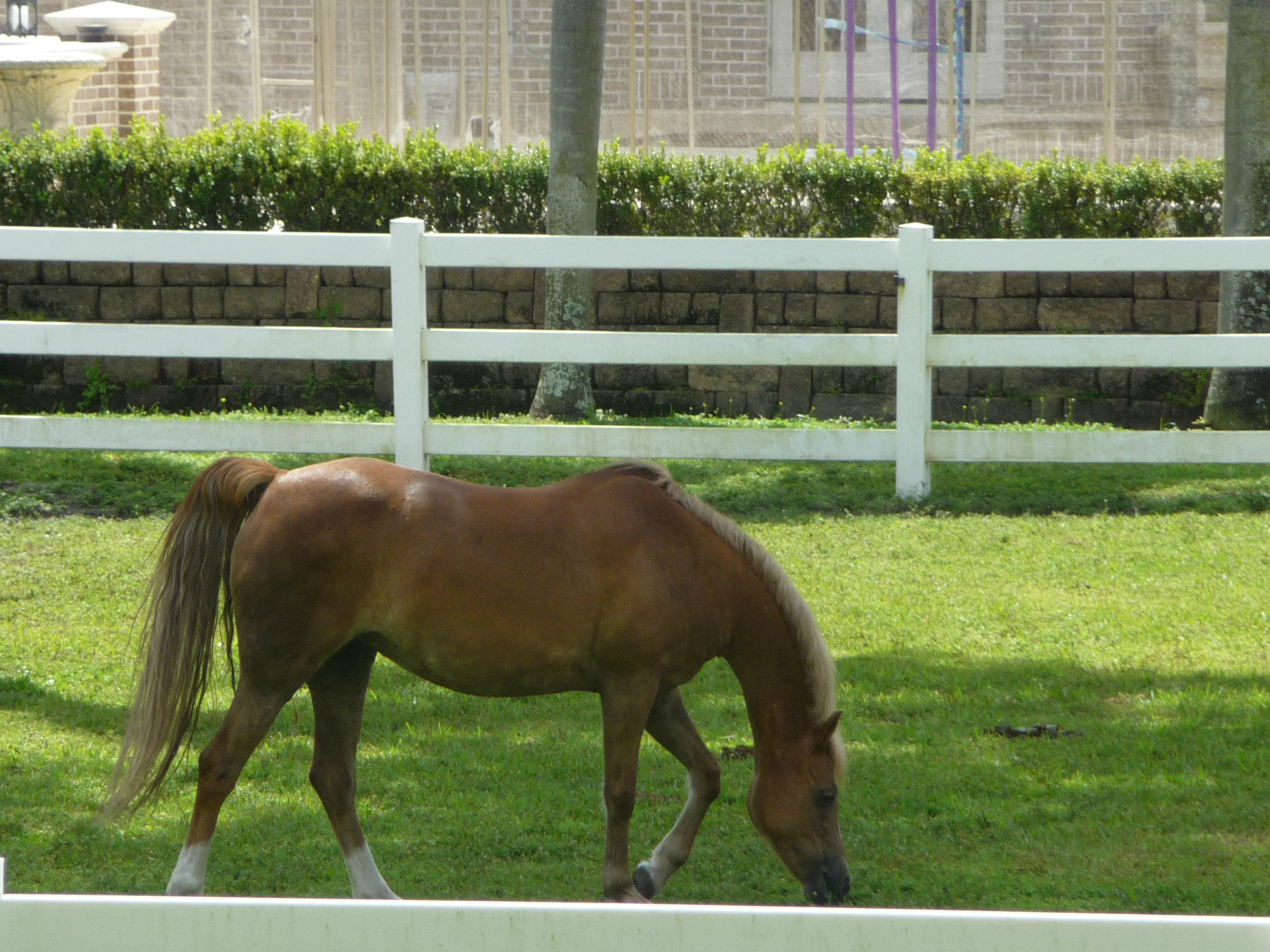 19655 118th Trail South, Unit FRNT Boca Raton, FL 33498 - Photo 28 of 31 a view of a yard in front of a house with a yard