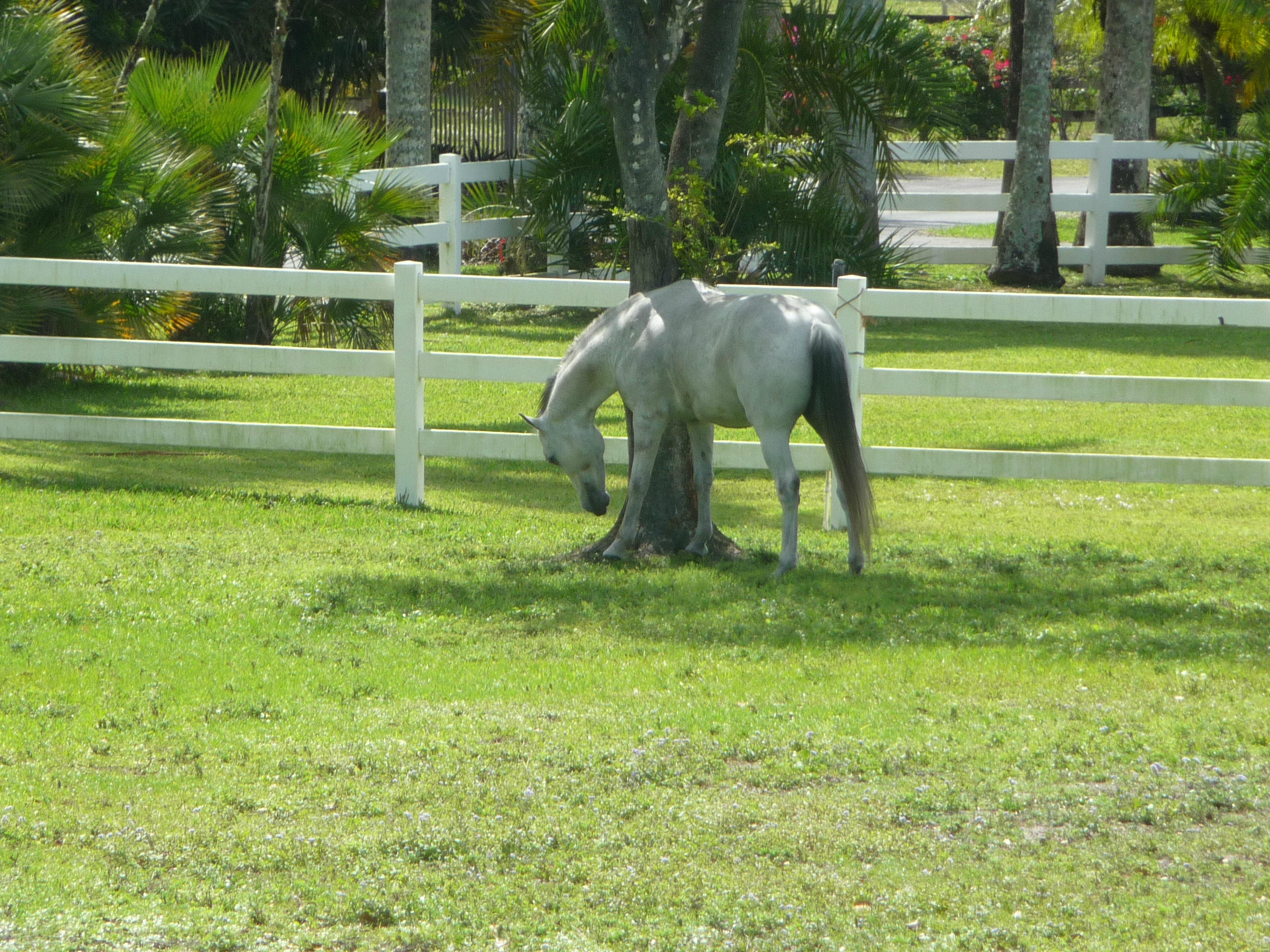 19655 118th Trail South, Unit FRNT Boca Raton, FL 33498 - Photo 29 of 31 a view of a park