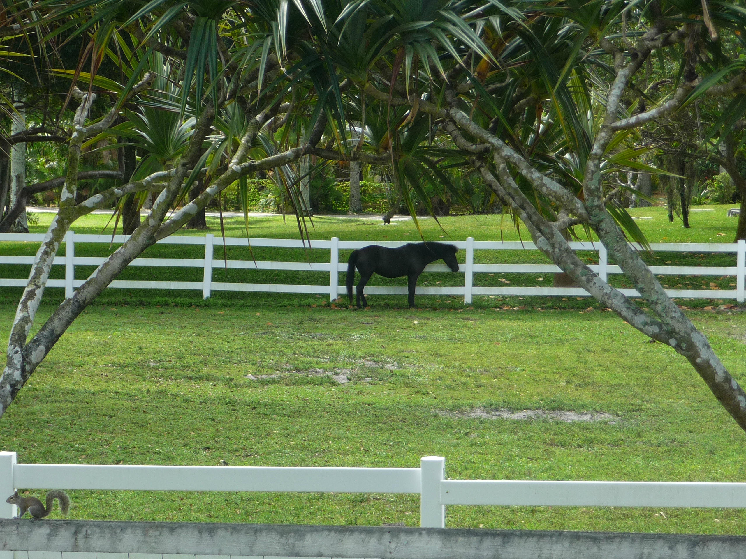 19655 118th Trail South, Unit FRNT Boca Raton, FL 33498 - Photo 30 of 31