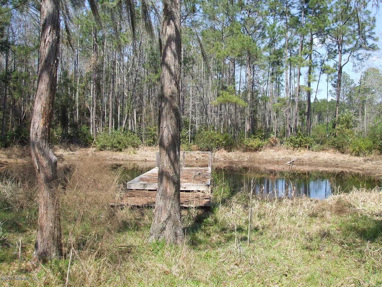 5778 Maverick Road Middleburg, FL 32068 - Photo 5 of 5 pond