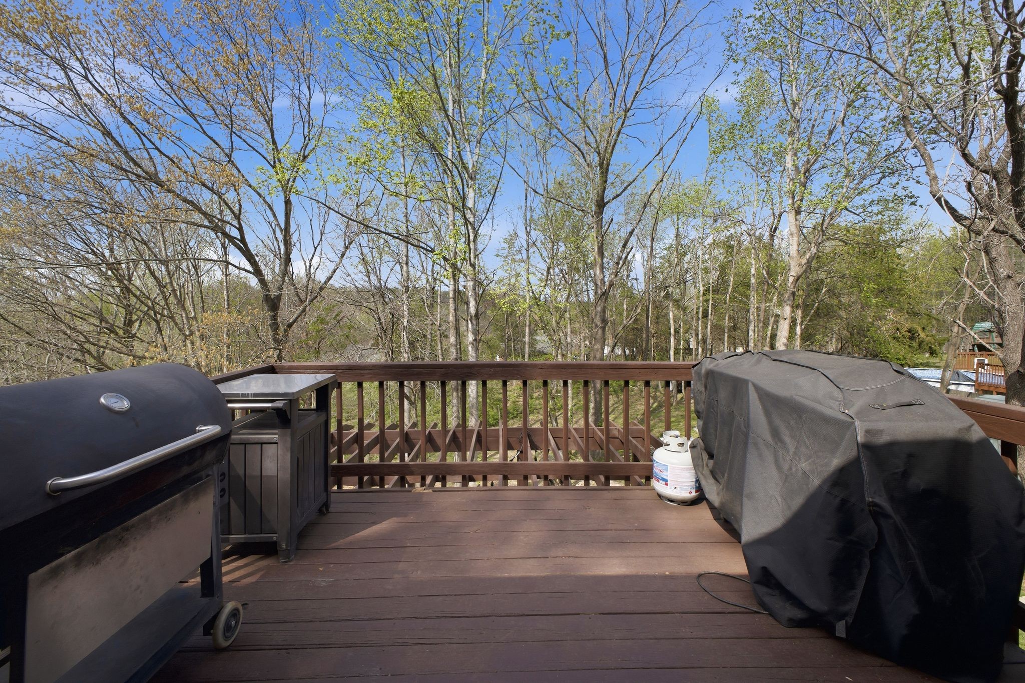 7524 Cherokee Hills Road Fairview, TN 37062 - Photo 28 of 32