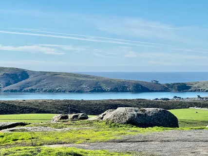 a view of a lake with houses in the back