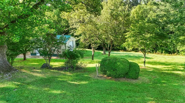 a backyard of a house with large trees and plants