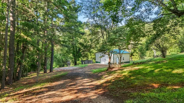 a view of outdoor space with a garden and trees