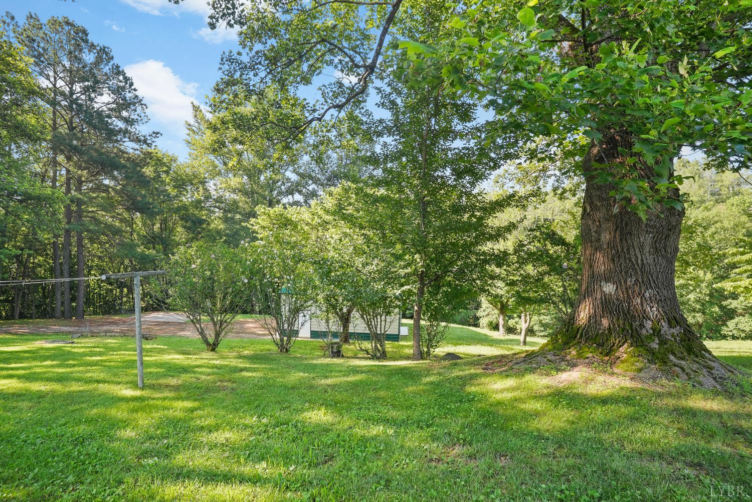 2294 High Peak Road Monroe, VA 24574 - Photo 37 of 53 a view of outdoor space with a garden and trees