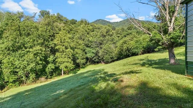a big yard with lots of green space and trees