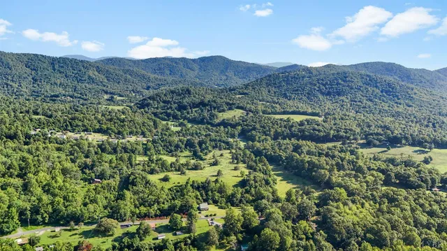 an aerial view of green landscape with trees houses and mountain view
