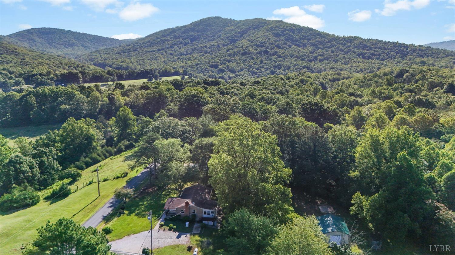 2294 High Peak Road Monroe, VA 24574 - Photo 50 of 53 an aerial view of green landscape with trees houses and mountain view