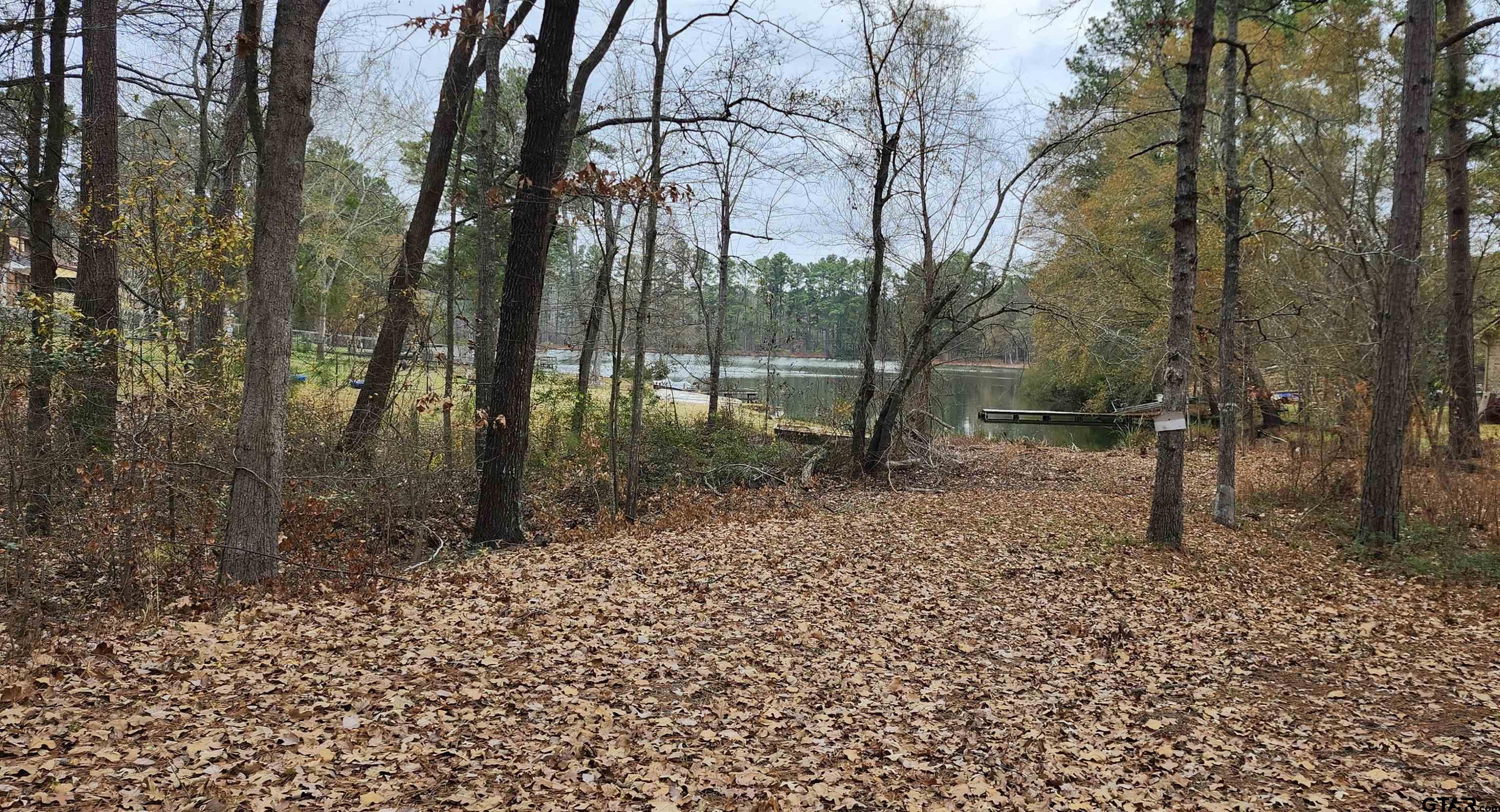 14141 County Road 1237 Tyler, TX 75703 - Photo 15 of 15 a backyard of a house with lots of green space