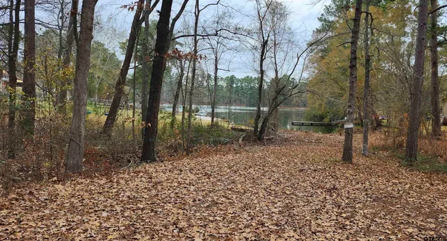 $265,000 | 14141 County Road 1237, Tyler, TX 75703