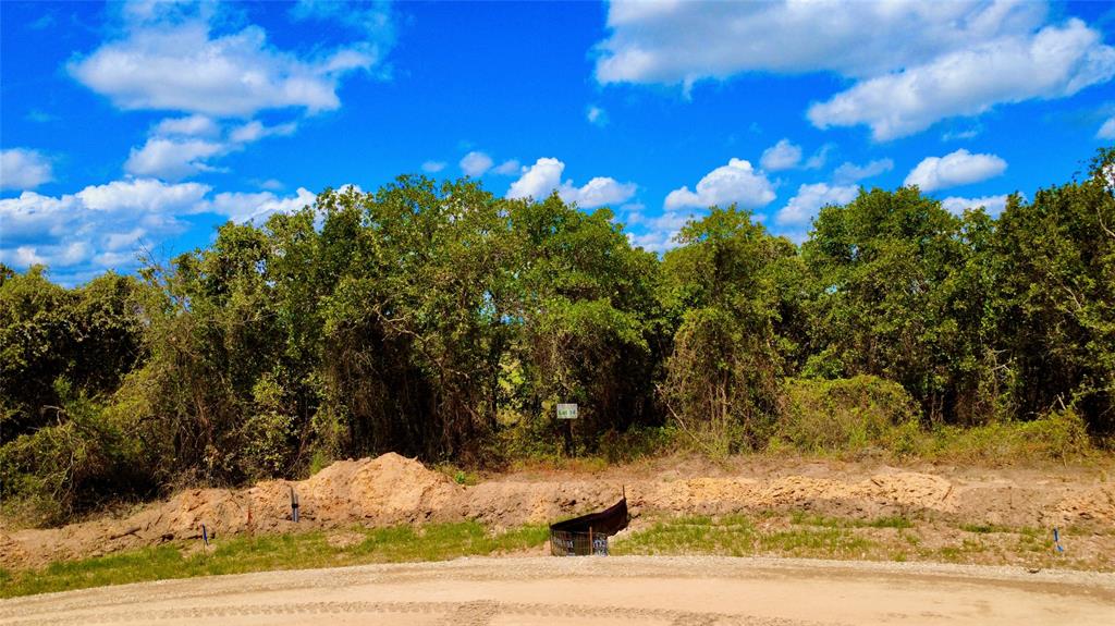 1065 Vh Ranch Road Poolville, TX 76487 - Photo 2 of 3 View of nature