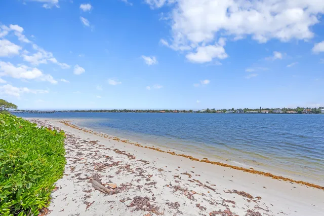a view of a swimming pool and a terrace