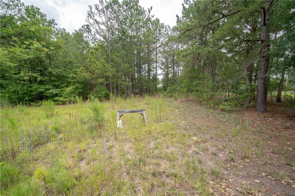 21 Green Dudley Road Salem, AL 36874 - Photo 15 of 44 Gallery Image 15