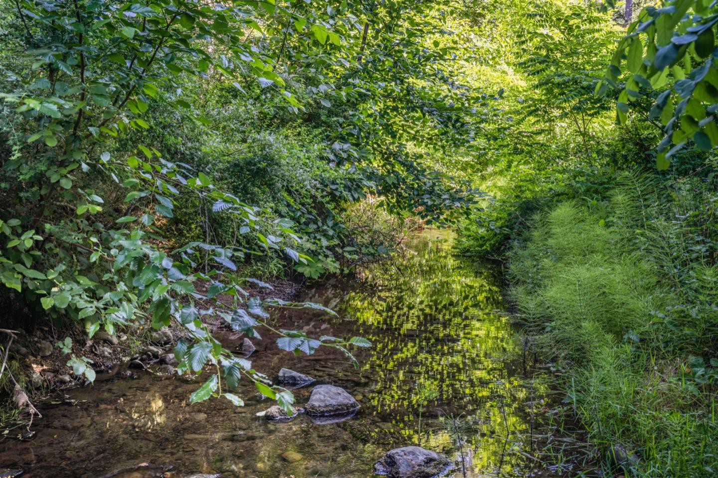 135 Willowbrook Drive Portola Valley, CA 94028 - Photo 13 of 50 a backyard of a house with lots of plants