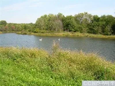a view of a lake from a yard