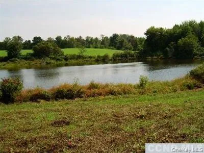 a view of a lake with houses in the back