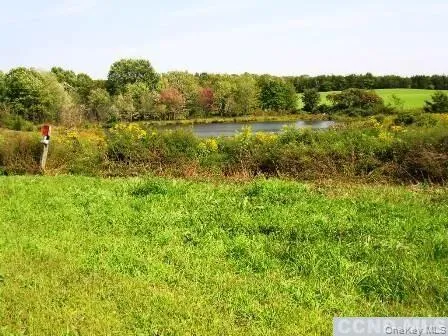 a view of a lush green forest with lots of trees