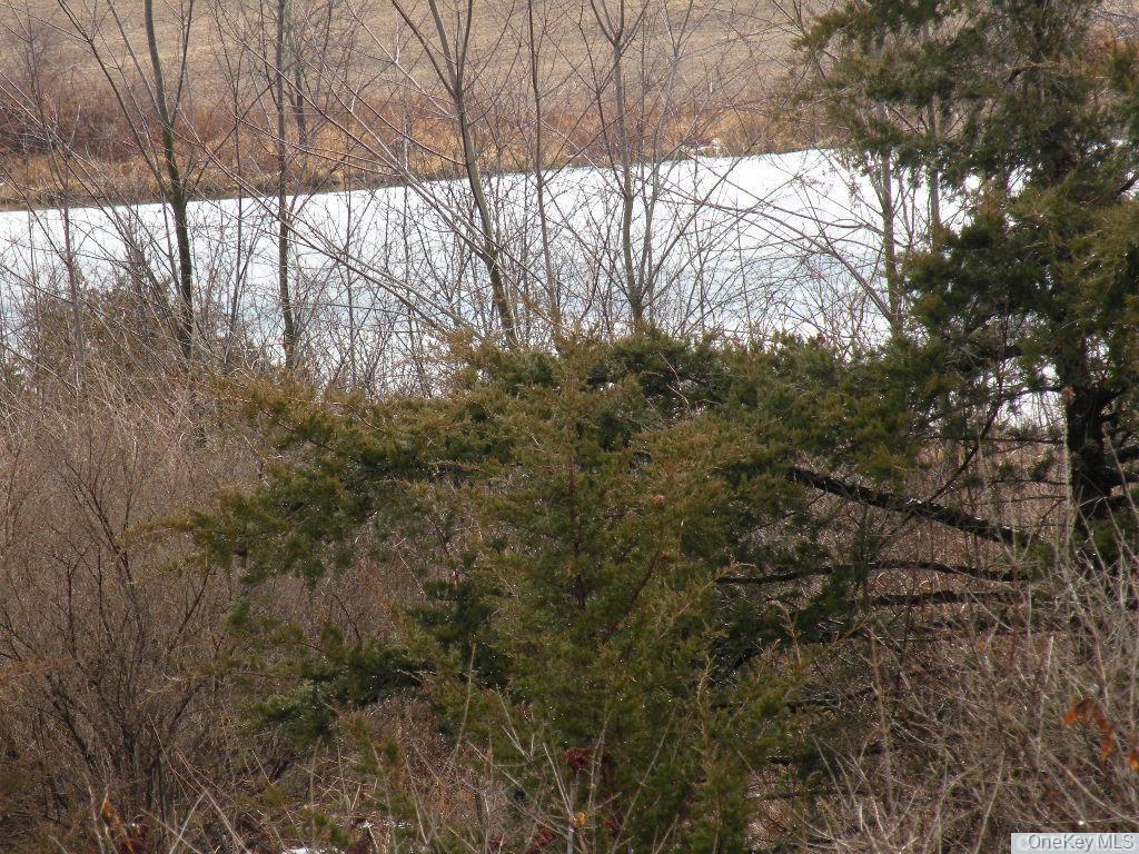 620 Bean River Road Millerton, NY 12546 - Photo 6 of 6 a view of outdoor space and yard