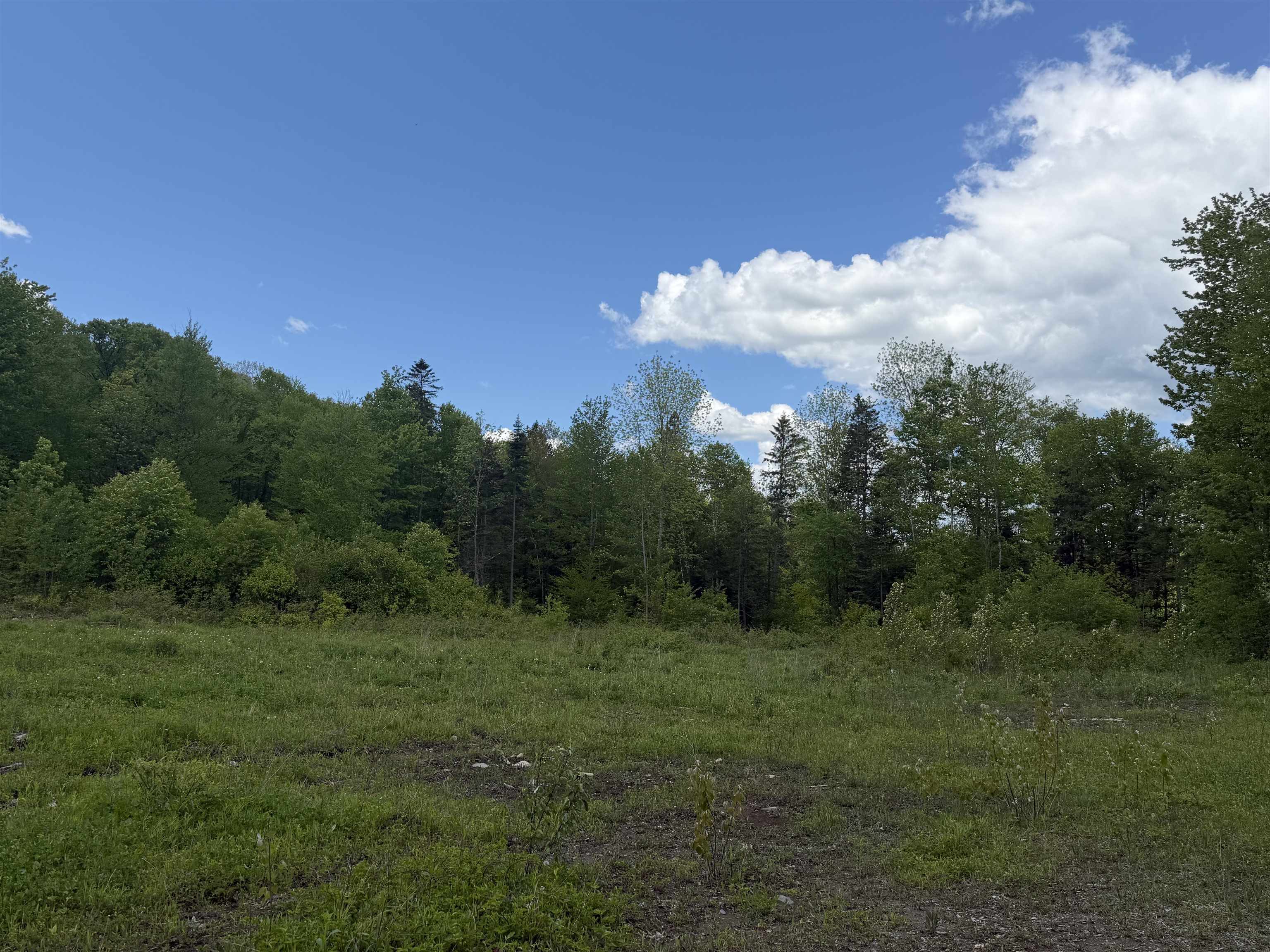 6885 Kirby Mountain Road Kirby, VT 05851 - Photo 49 of 51