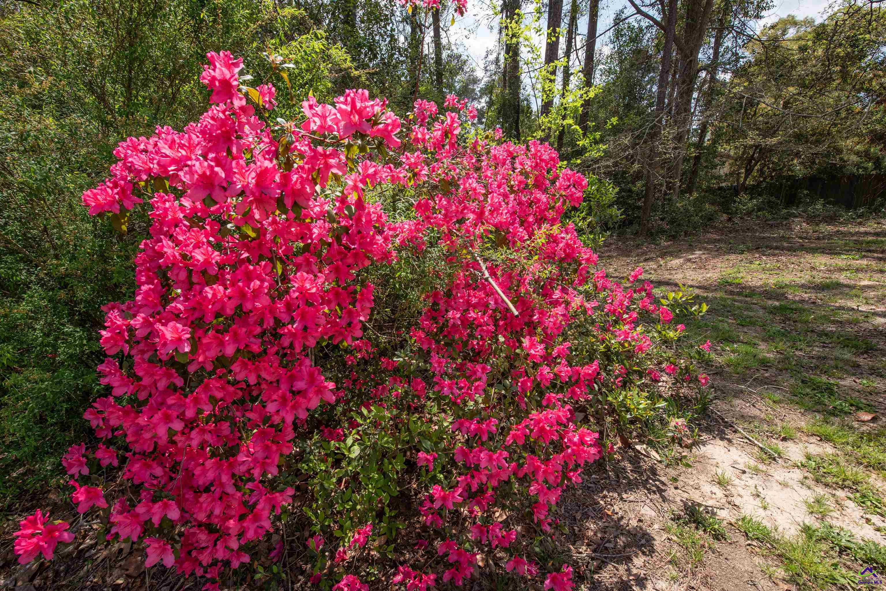 4350 Jones Road Macon, GA 31216 - Photo 10 of 92 Gallery Image 10