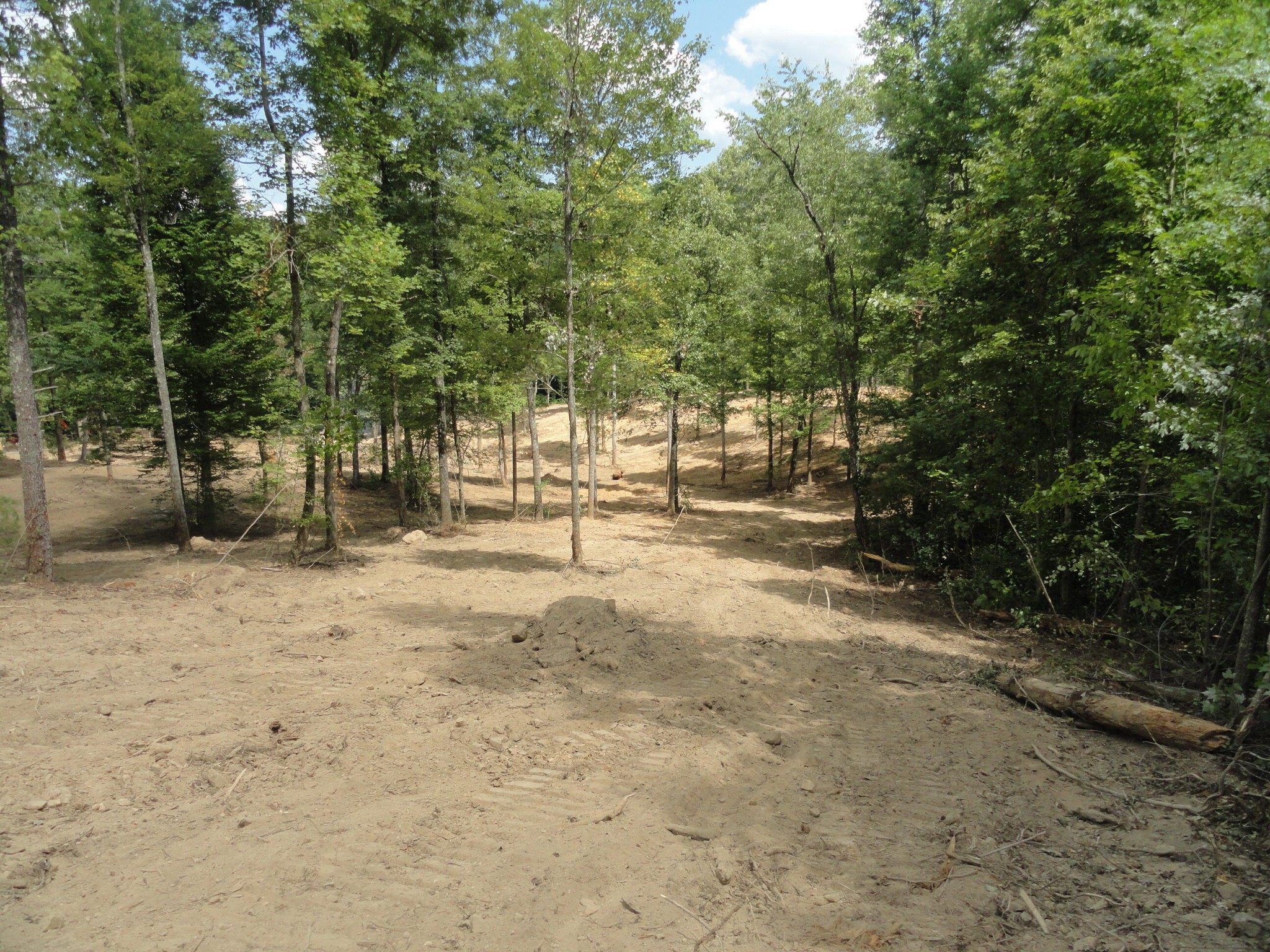 2277 Tellico Reliance Road Reliance, TN 37369 - Photo 18 of 34 a view of road with trees