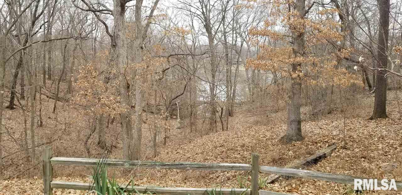9711 West Whittingham Point Mapleton, IL 61547 - Photo 26 of 29