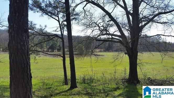Turner Mill Road Talladega, AL 35160 - Photo 1 of 10