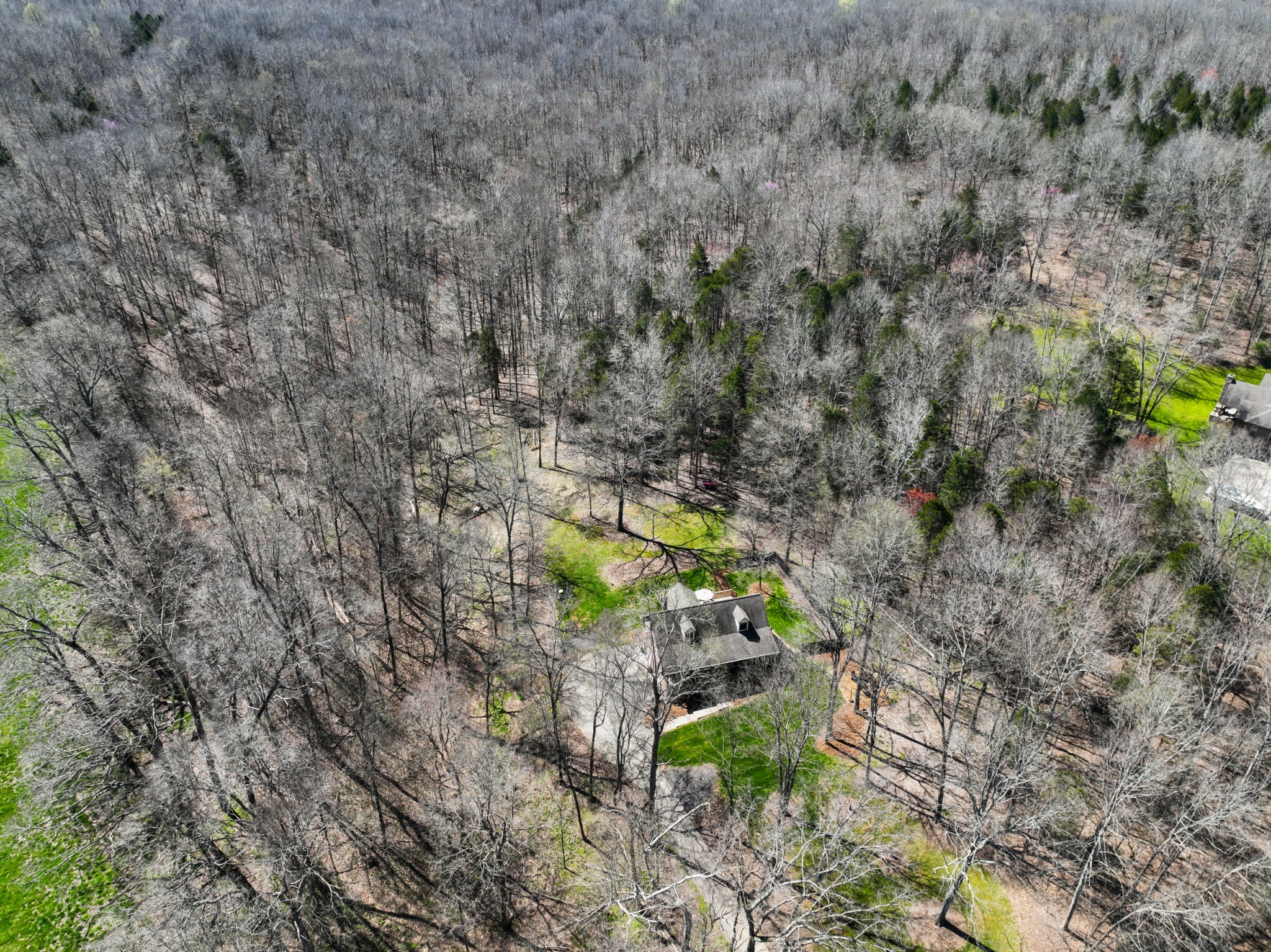 340 Batson Road Cunningham, TN 37052 - Photo 47 of 57 a backyard of a house with lots of green space