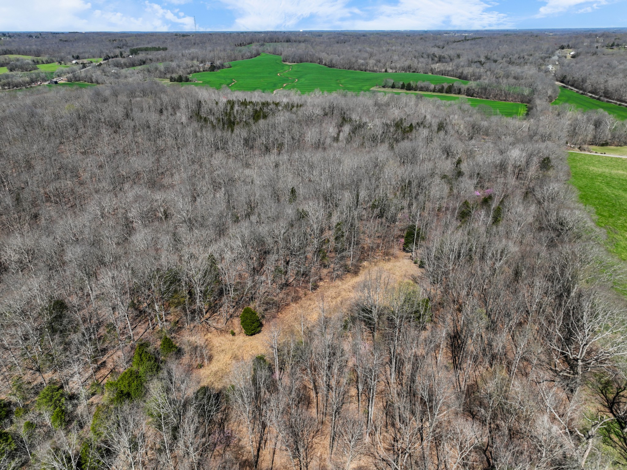 340 Batson Road Cunningham, TN 37052 - Photo 51 of 57 a view of a dry yard with wooden fence