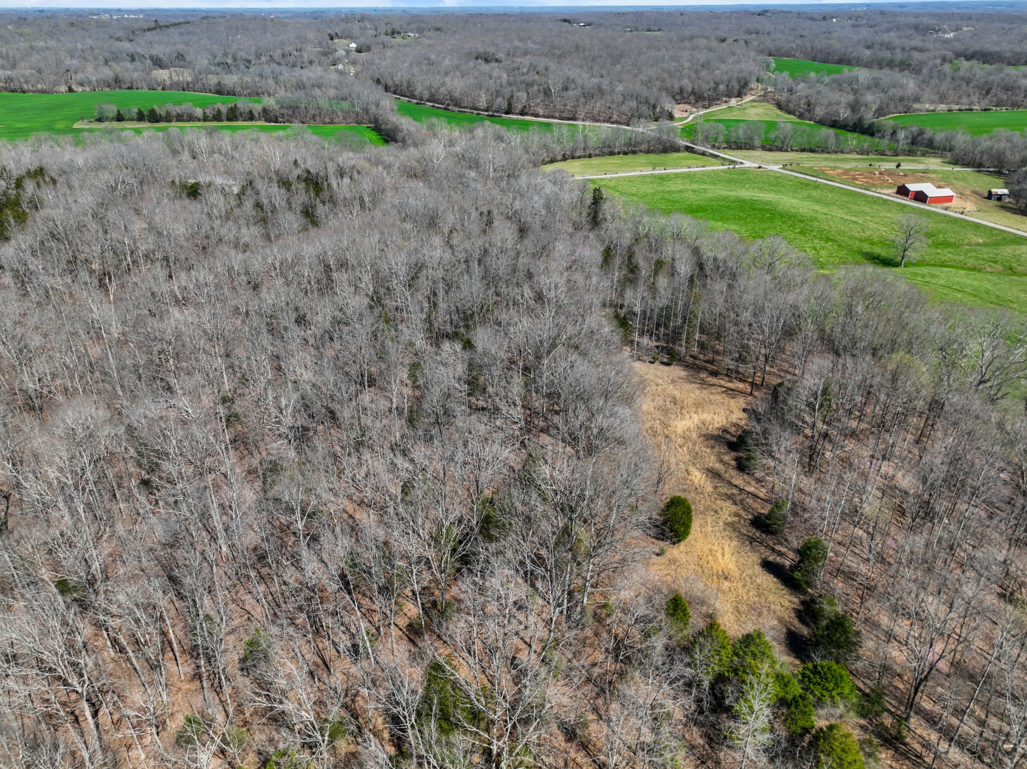 340 Batson Road Cunningham, TN 37052 - Photo 53 of 57 a view of a field with plants and trees