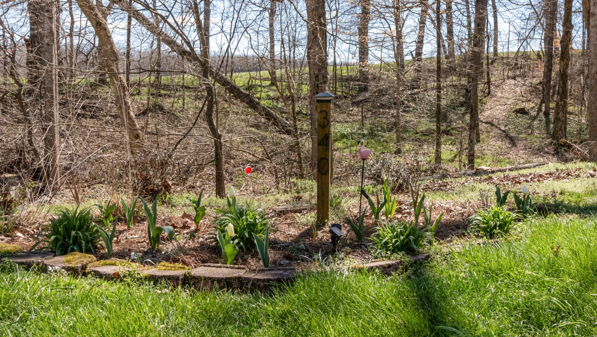 340 Batson Road Cunningham, TN 37052 - Photo 6 of 57 a view of outdoor space and yard