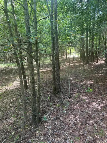 $85,000 | 0 Sikkema Lane, Leesville, SC 29070