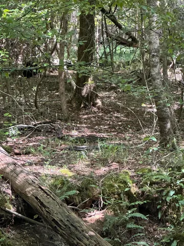 $85,000 | 0 Sikkema Lane, Leesville, SC 29070