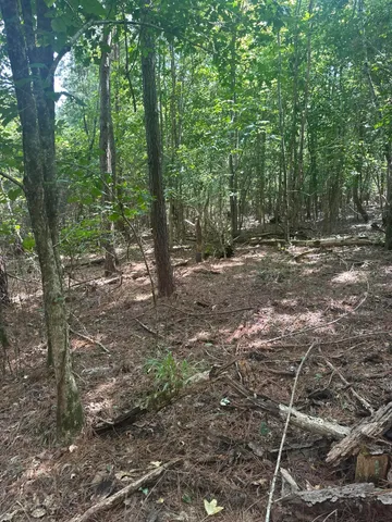 $85,000 | 0 Sikkema Lane, Leesville, SC 29070