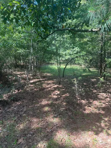 $85,000 | 0 Sikkema Lane, Leesville, SC 29070