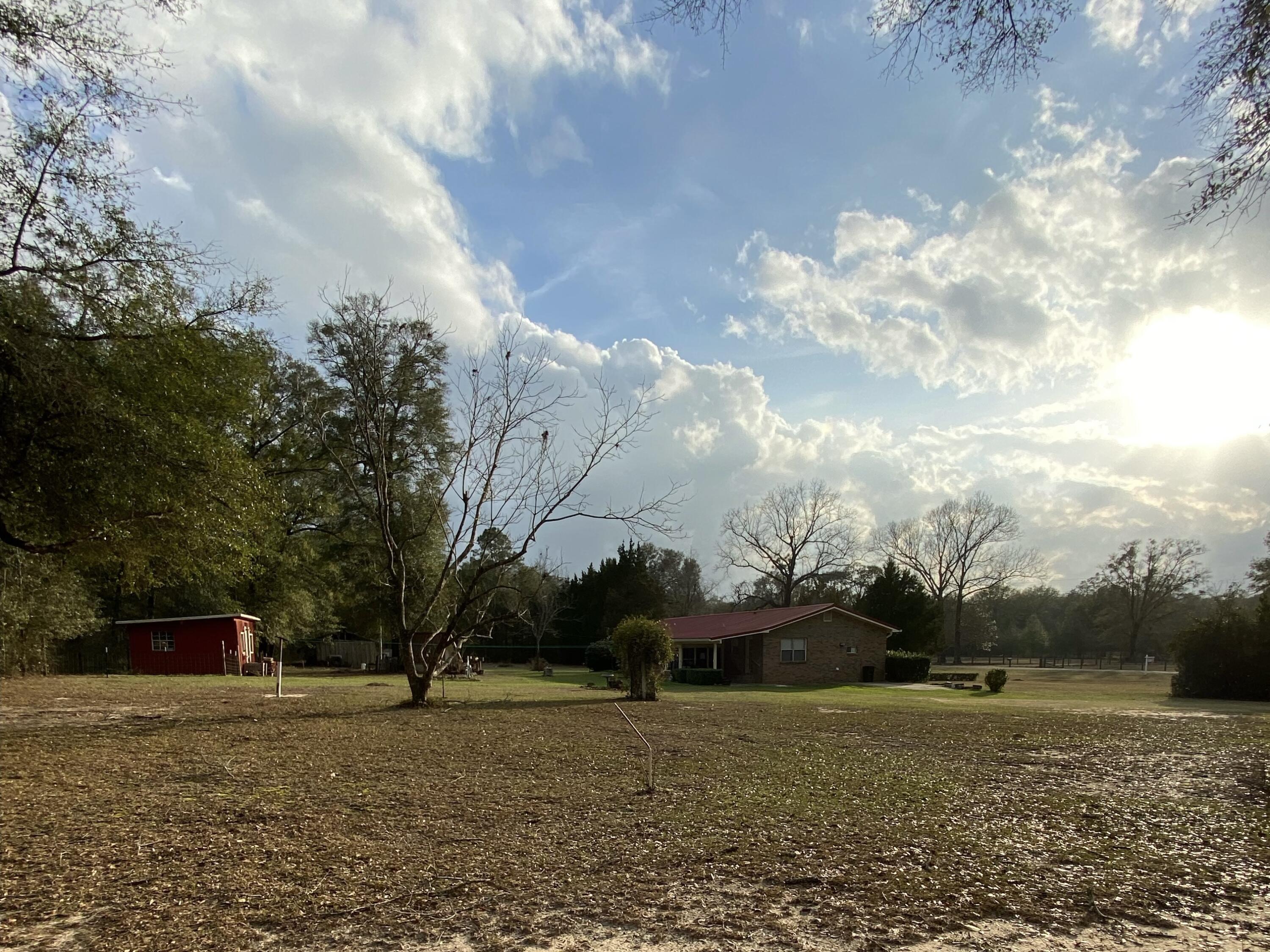 186 McLaughlin Road Milton, FL 32570 - Photo 6 of 26 a view of dirt field with trees