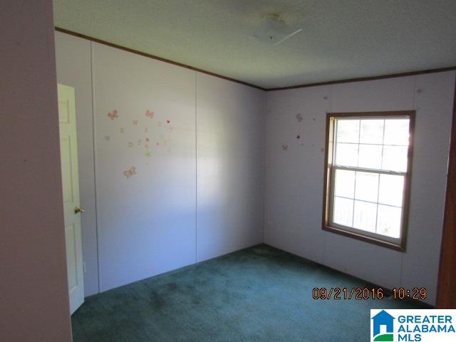 58 Twilight Lane Leeds, AL 35094 - Photo 14 of 17