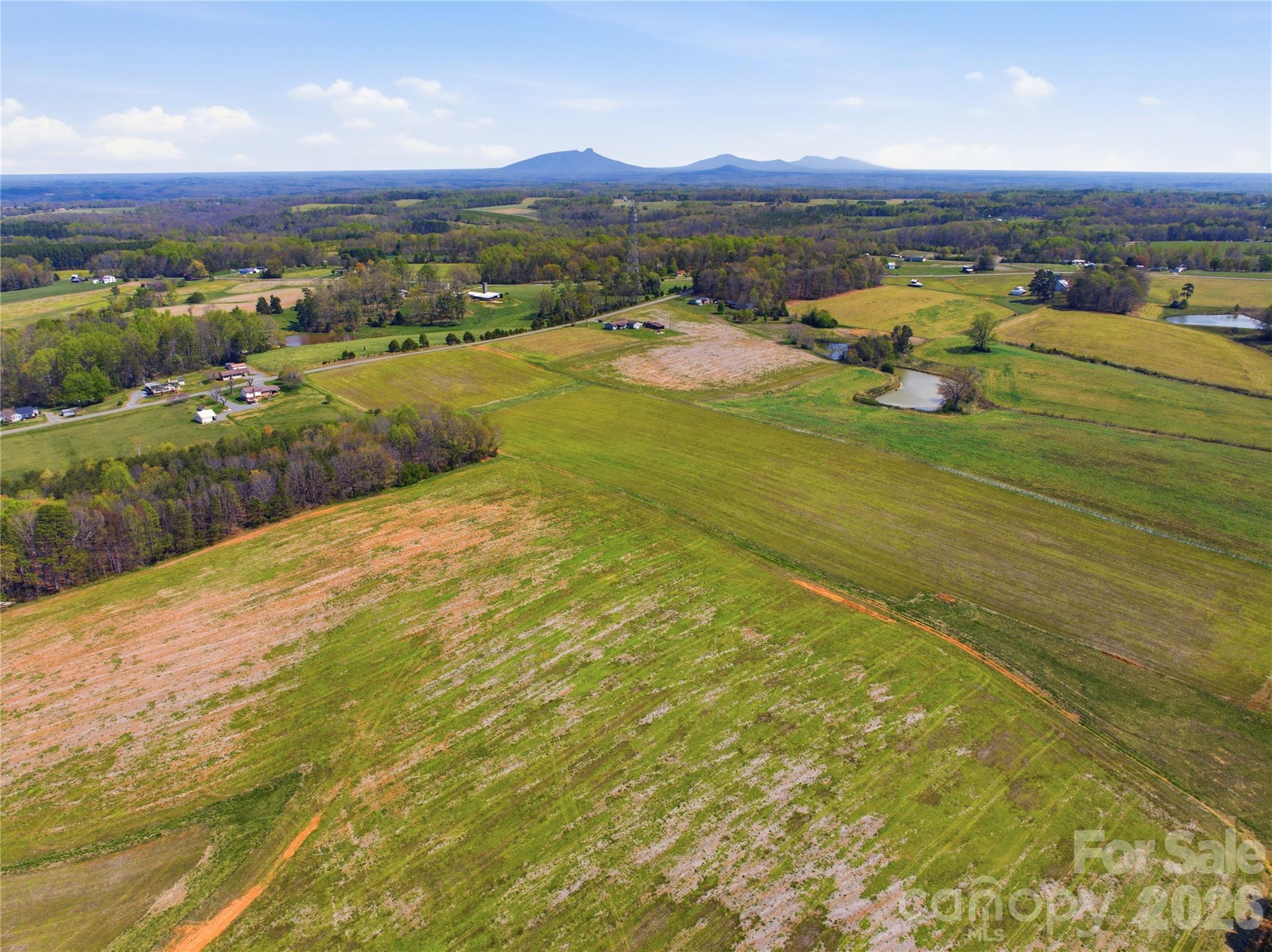 2452 Tower Road East Bend, NC 27018 - Photo 47 of 48