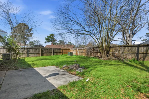 a view of a yard with a large tree