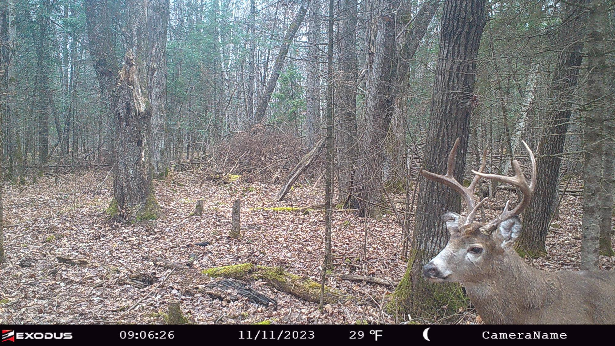 N8393 Pioneer Road Hawkins, WI 54530 - Photo 10 of 73 Gallery Image 10
