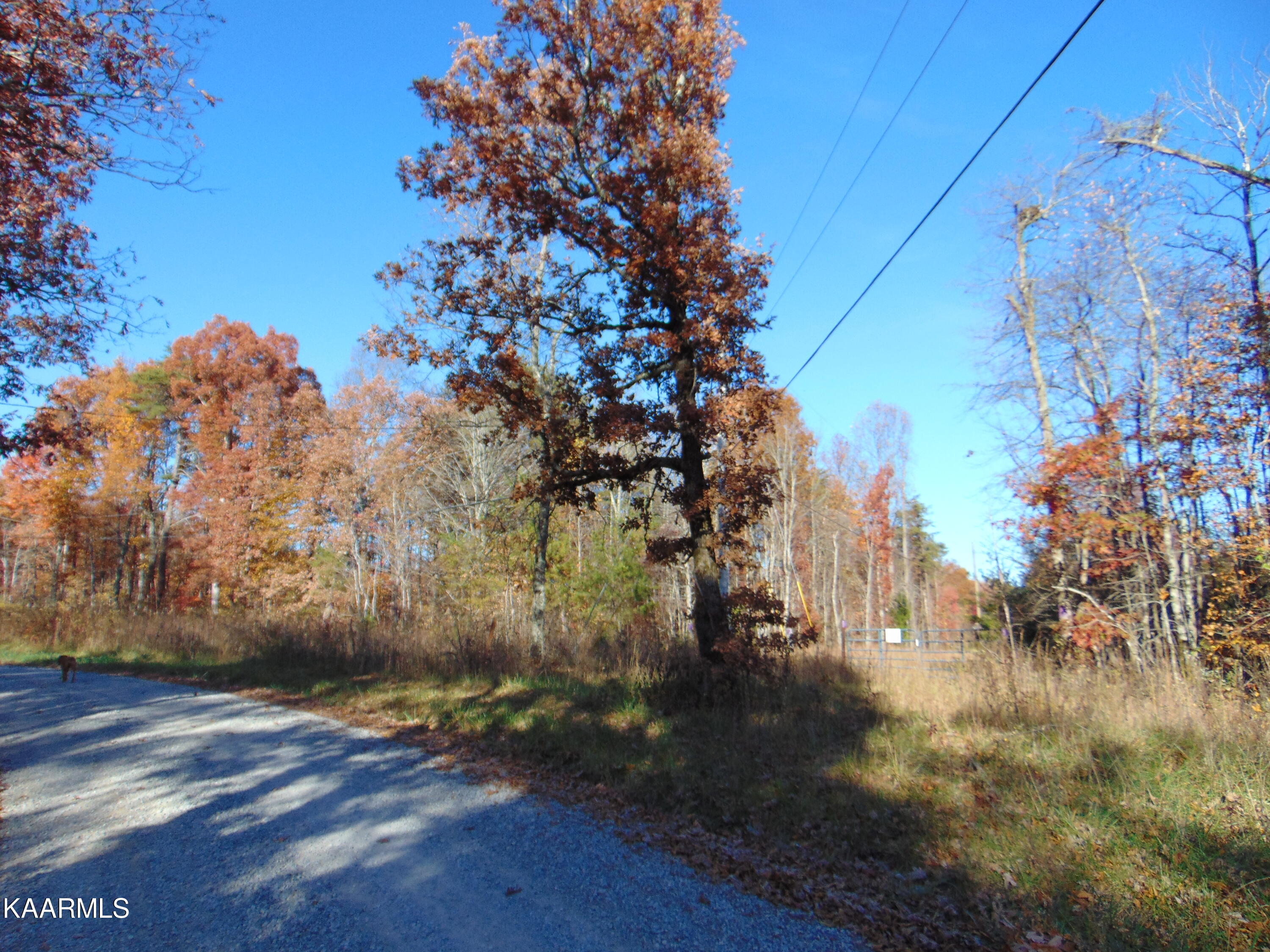 14.41-acre Raccoon Ridge Road Spring City, TN 37381 - Photo 2 of 43 DSC01762