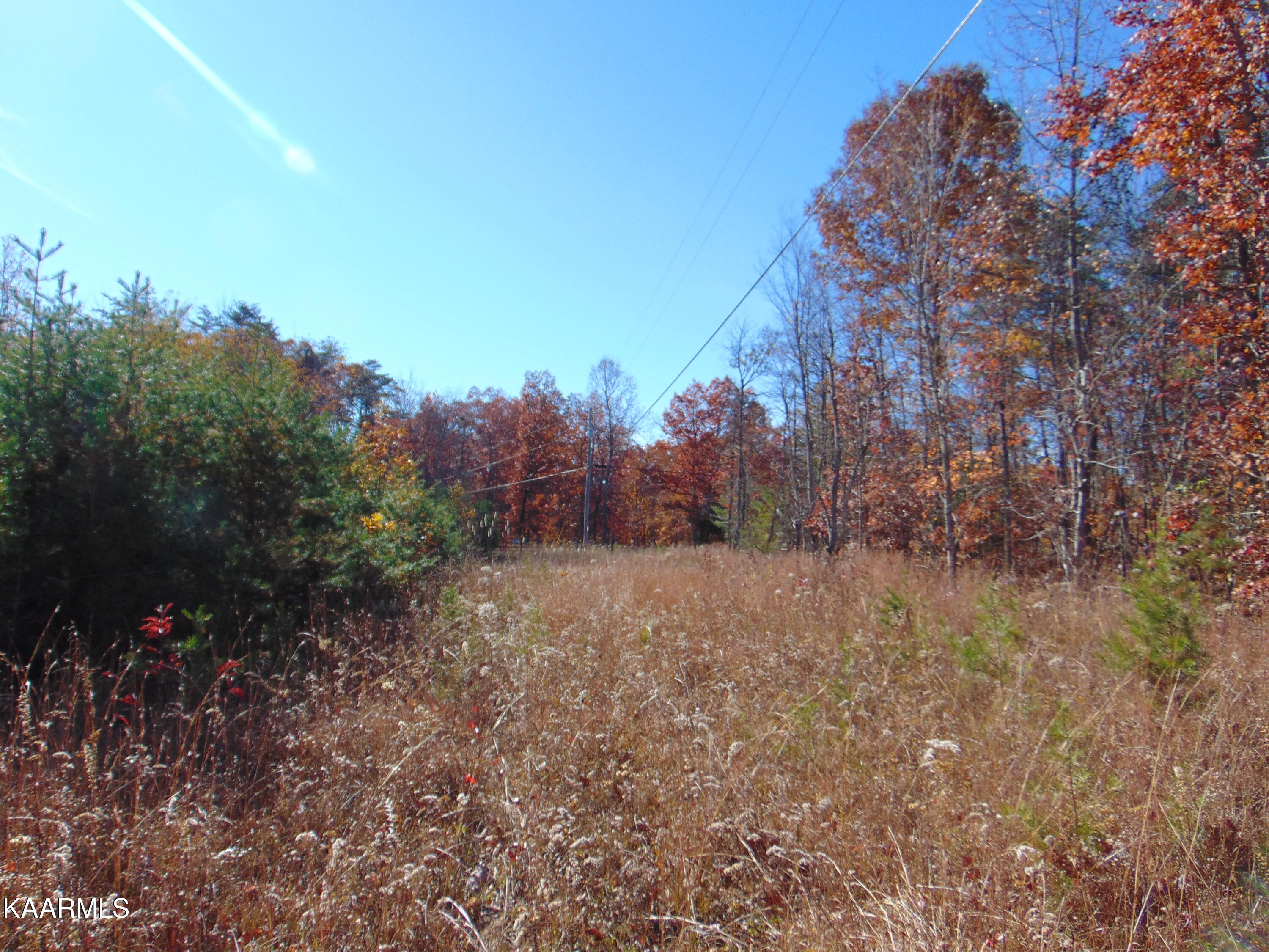 14.41-acre Raccoon Ridge Road Spring City, TN 37381 - Photo 25 of 43 DSC01704