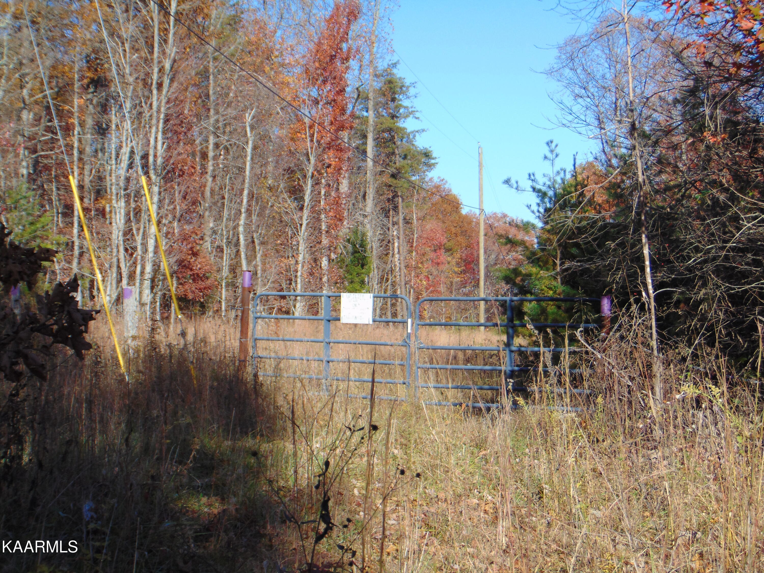14.41-acre Raccoon Ridge Road Spring City, TN 37381 - Photo 3 of 43 DSC01763