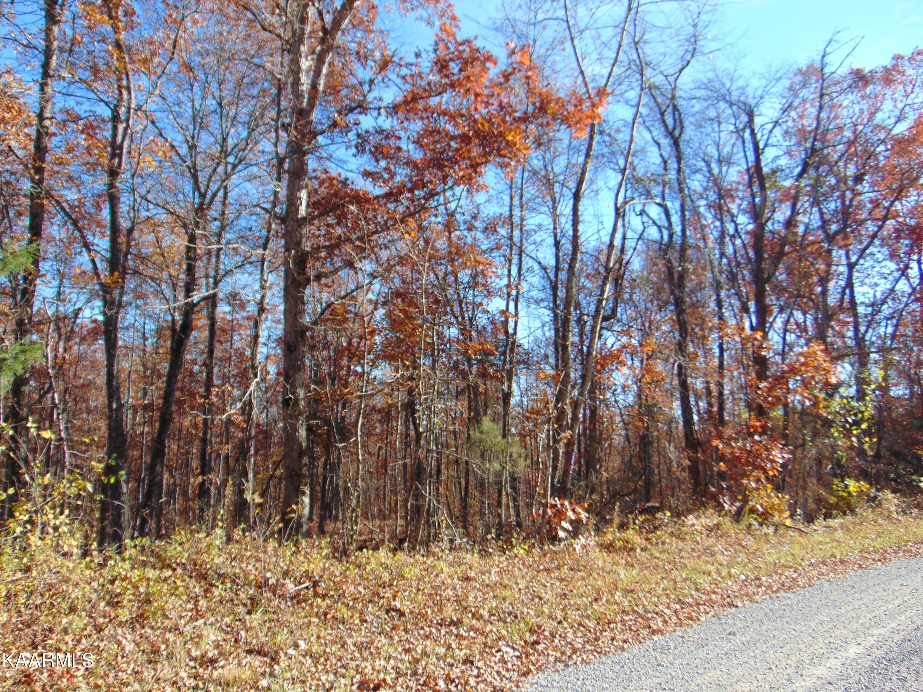 14.41-acre Raccoon Ridge Road Spring City, TN 37381 - Photo 38 of 43 DSC01760