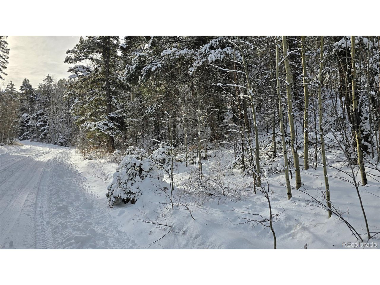 5540 Joy Road Fort Garland, CO 81133 - Photo 11 of 18 a black and white photo of a building